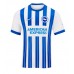 Brighton Evan Ferguson #28 Replik Heimtrikot 2024-25 Kurzarm